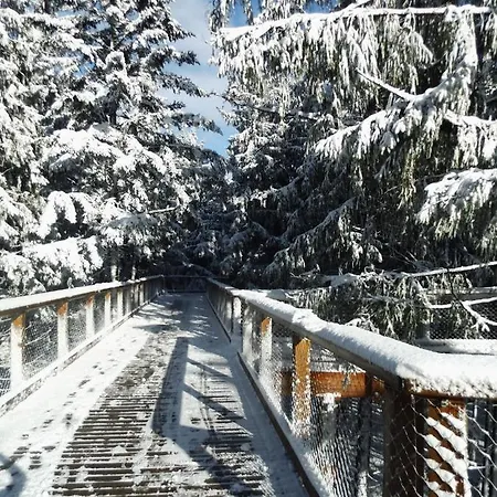 Riviera Lipno 510/21
